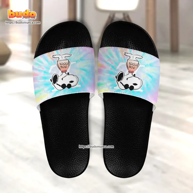 Slide sandals snoopy v1 and louis vuitton gift unique slide sandals for man woman and kid